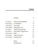 Končna analiza - slika 2
