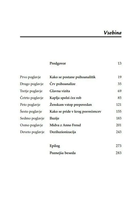 Končna analiza - slika 2