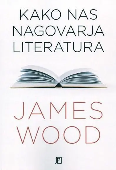 Kako nas nagovarja literatura