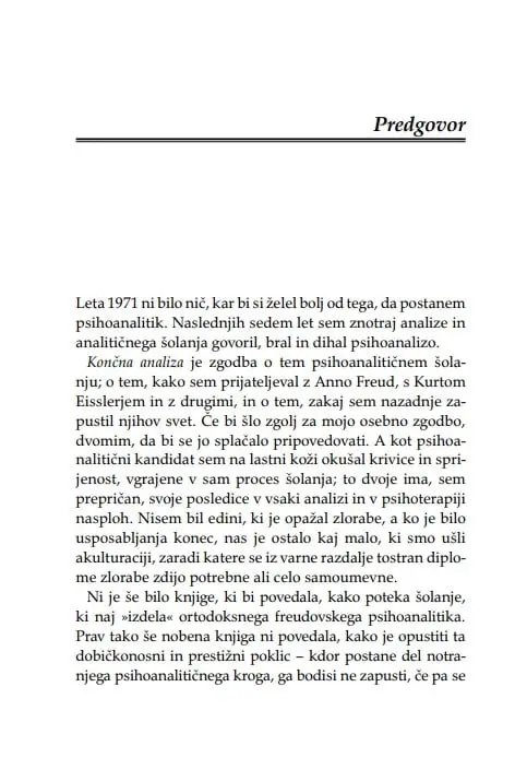 Končna analiza - slika 21