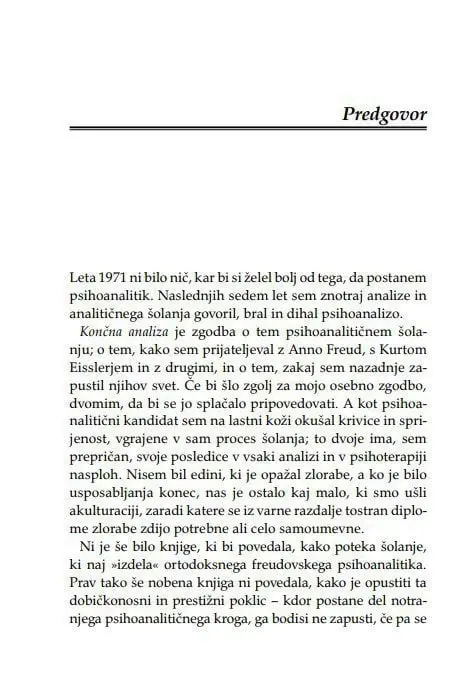Končna analiza - slika 3