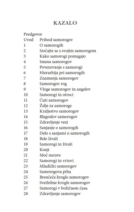 Čudežni samorogi: Vnebovzetje z višjimi angelskimi svetovi - slika 15