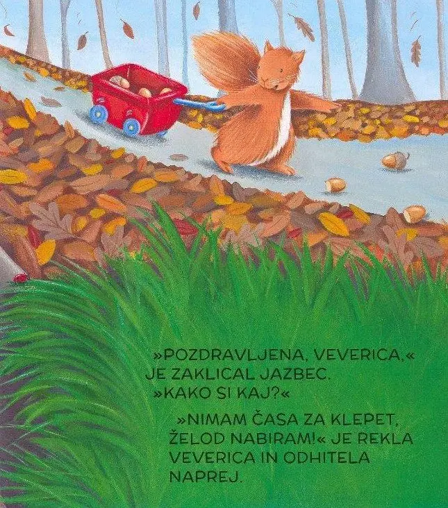 Veverica nima časa - slika 2
