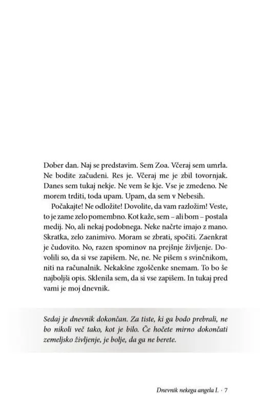 Dnevnik nekega angela, I. del - slika 4