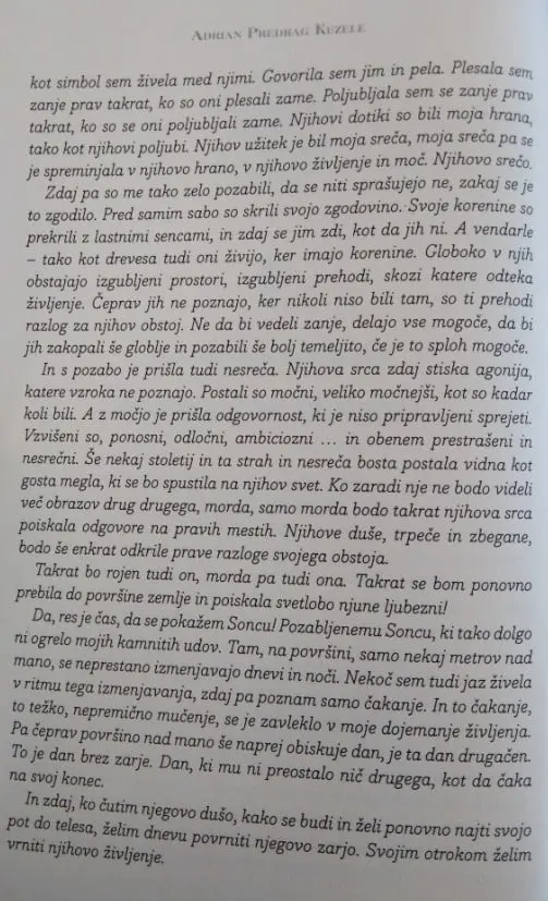 Vrnitev Boginje - slika 20