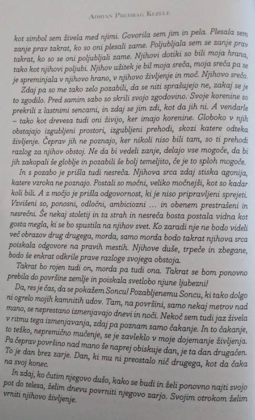 Vrnitev Boginje - slika 4