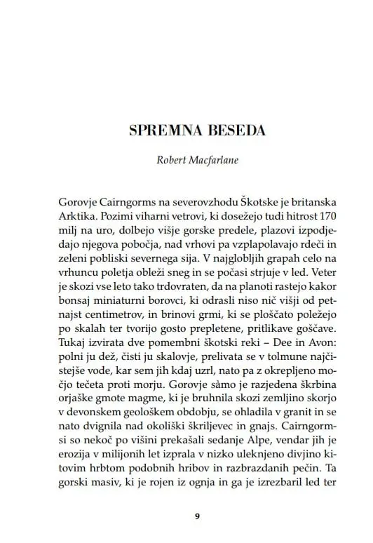 Živa gora - slika 26