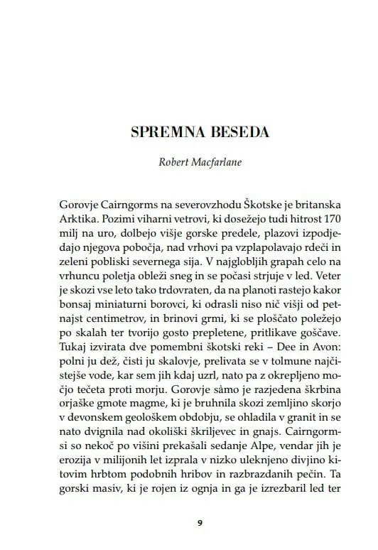 Živa gora - slika 4