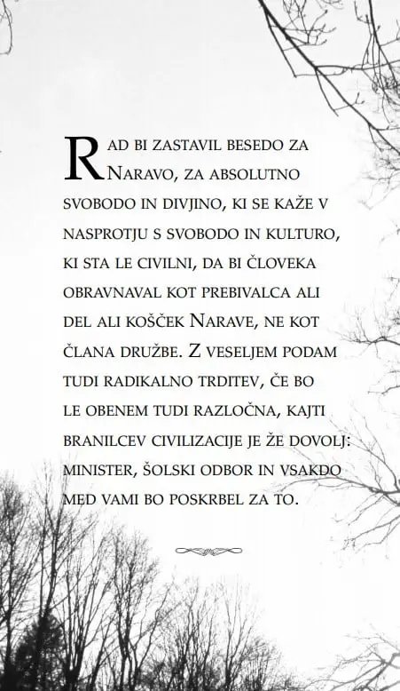 Hoja - slika 14