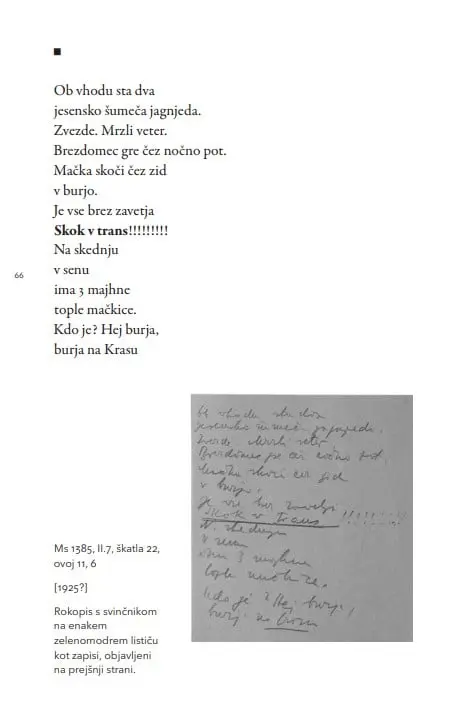 Vsem naj bom neznan, 1. knjiga - slika 26