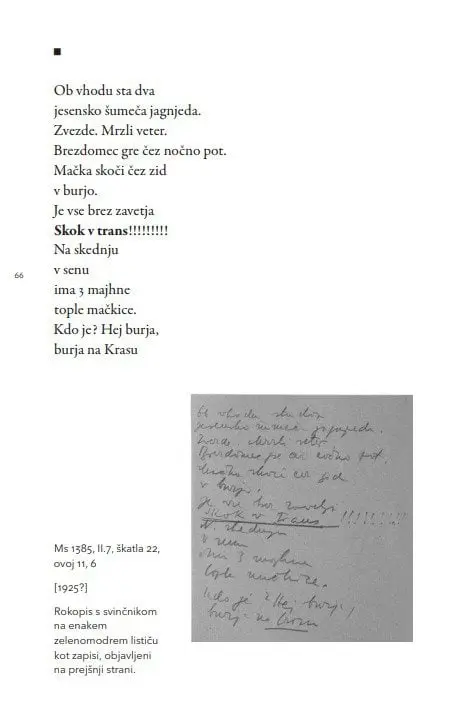 Vsem naj bom neznan, 1. knjiga - slika 5
