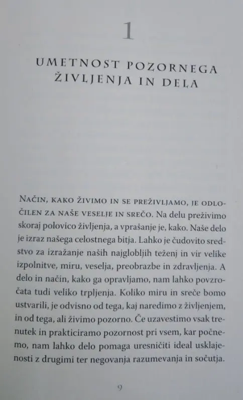 Delo - Kako najti veselje in pomen v vsakem trenutku - slika 4