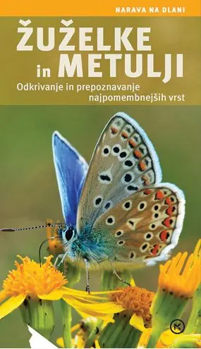 Žuželke in metulji