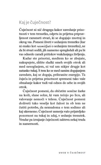 Sedeti pri miru kot žaba (Cangurina KNJIGA LETA 2020) - slika 25