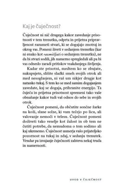 Sedeti pri miru kot žaba (Cangurina KNJIGA LETA 2020) - slika 5