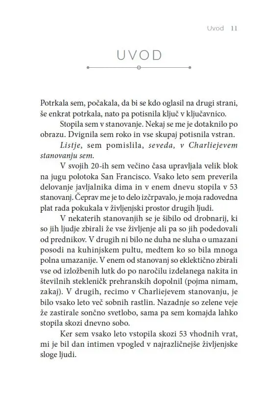 Minimalizem - slika 21
