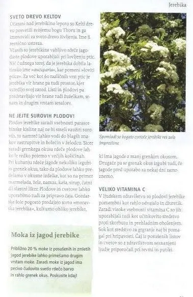 Naša užitna drevesa in grmi - slika 5