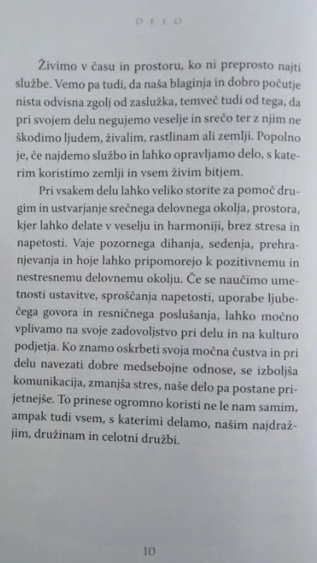 Delo - Kako najti veselje in pomen v vsakem trenutku - slika 5