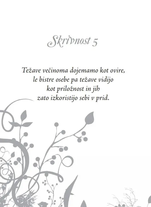 81 svetovnih skrivnosti - Načela za svetlo in radostno življenje - slika 17