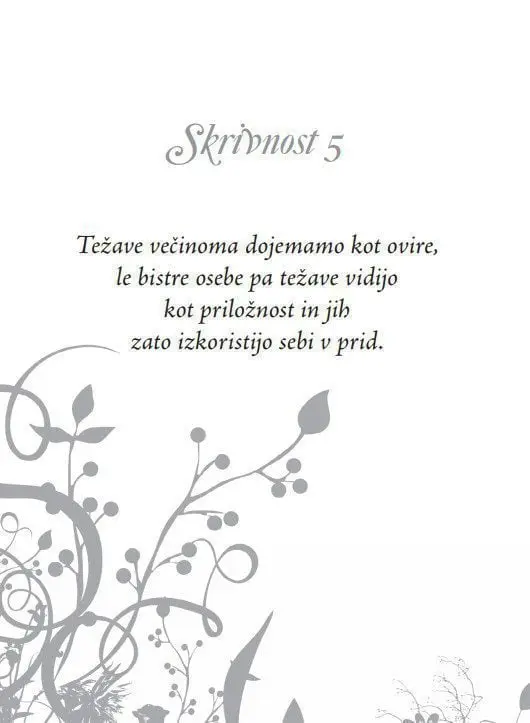 81 svetovnih skrivnosti - Načela za svetlo in radostno življenje - slika 6