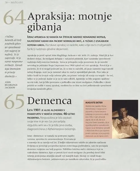 Možgani - slika 15