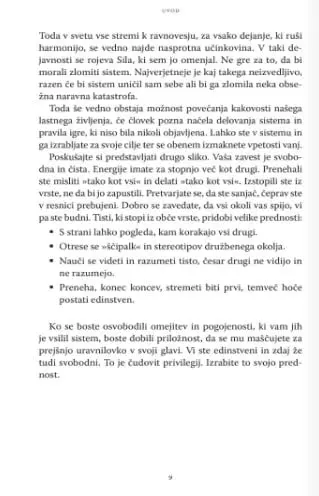 Zlom tehniziranega sistema - slika 19