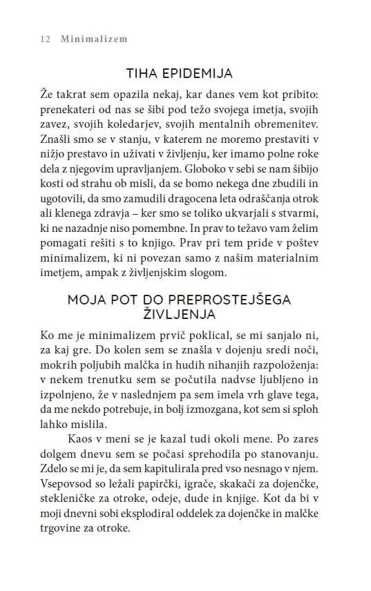 Minimalizem - slika 22