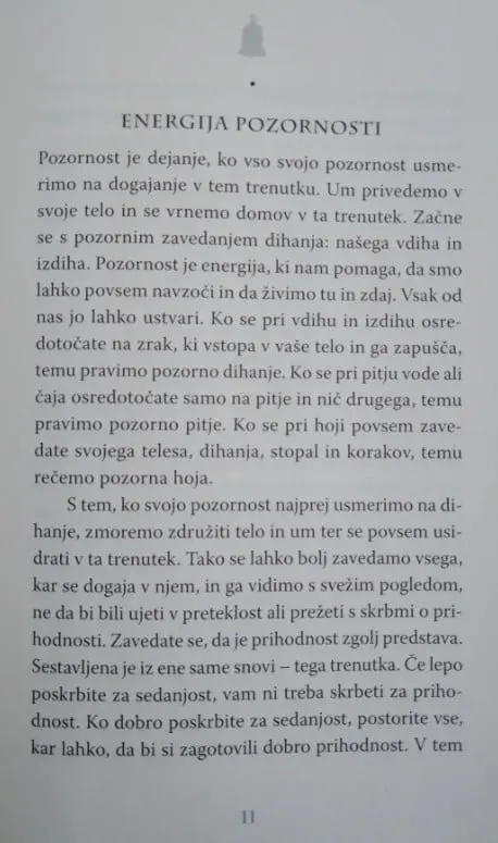Delo - Kako najti veselje in pomen v vsakem trenutku - slika 6