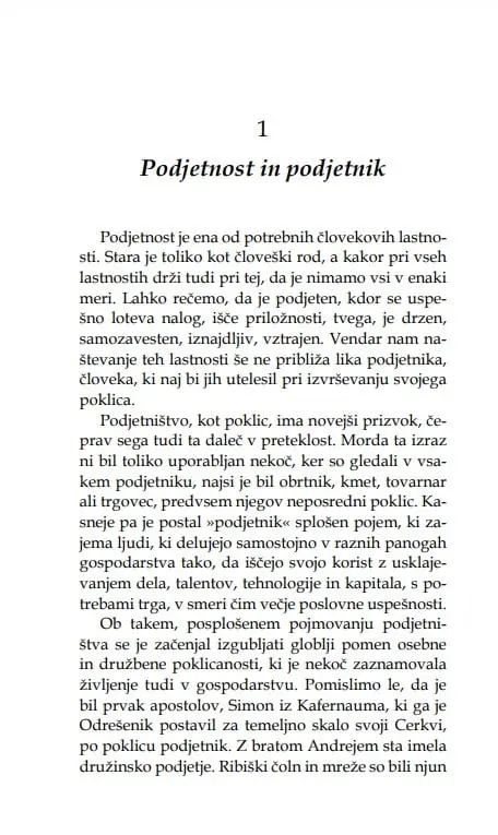 Podjetnik in njegov poklic - slika 18