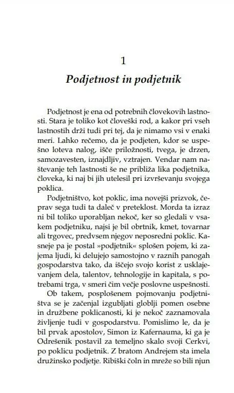 Podjetnik in njegov poklic - slika 7