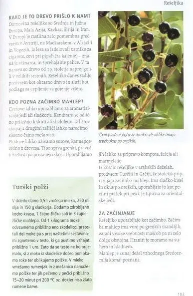 Naša užitna drevesa in grmi - slika 16