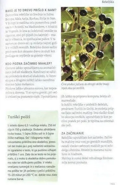 Naša užitna drevesa in grmi - slika 7