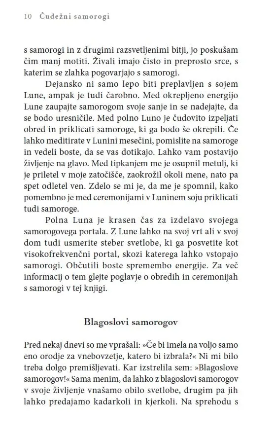 Čudežni samorogi: Vnebovzetje z višjimi angelskimi svetovi - slika 20