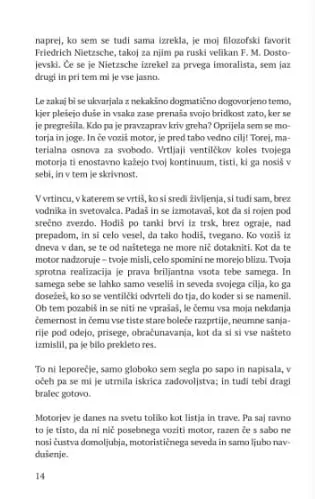 Motor z zlato sledjo - slika 18