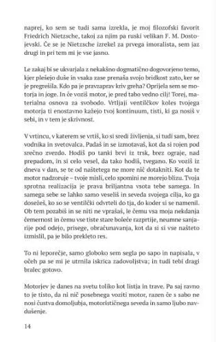 Motor z zlato sledjo - slika 8