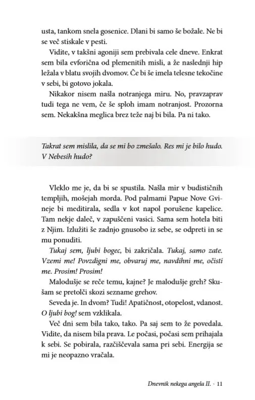 Dnevnik nekega angela, II. del - slika 19