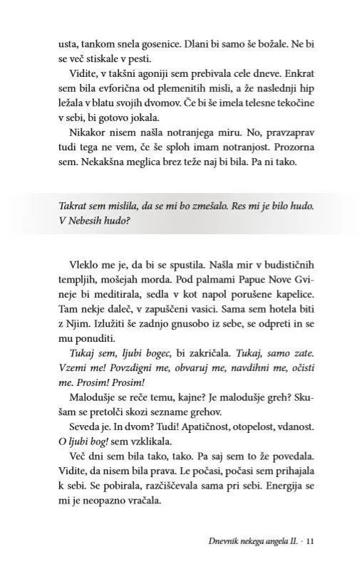 Dnevnik nekega angela, II. del - slika 8