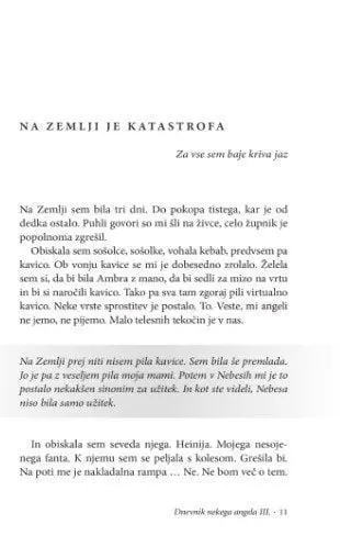 Dnevnik nekega angela, III. del - slika 8