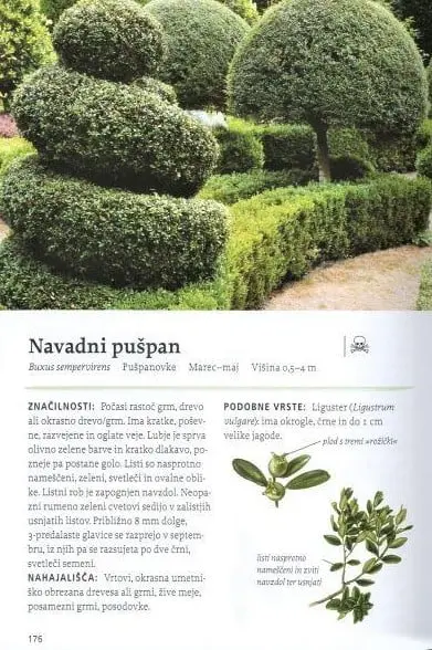 Naša užitna drevesa in grmi - slika 17