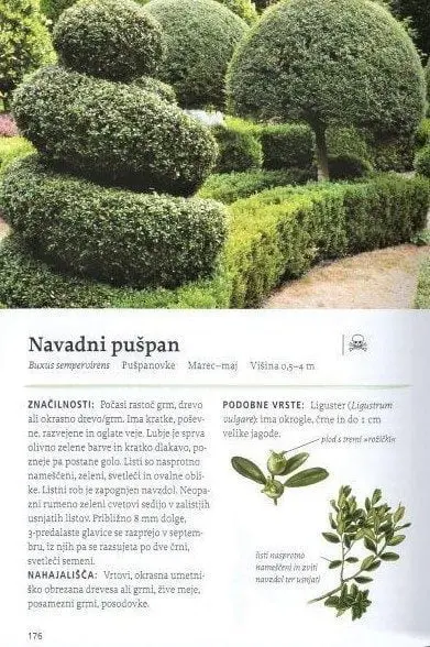 Naša užitna drevesa in grmi - slika 8