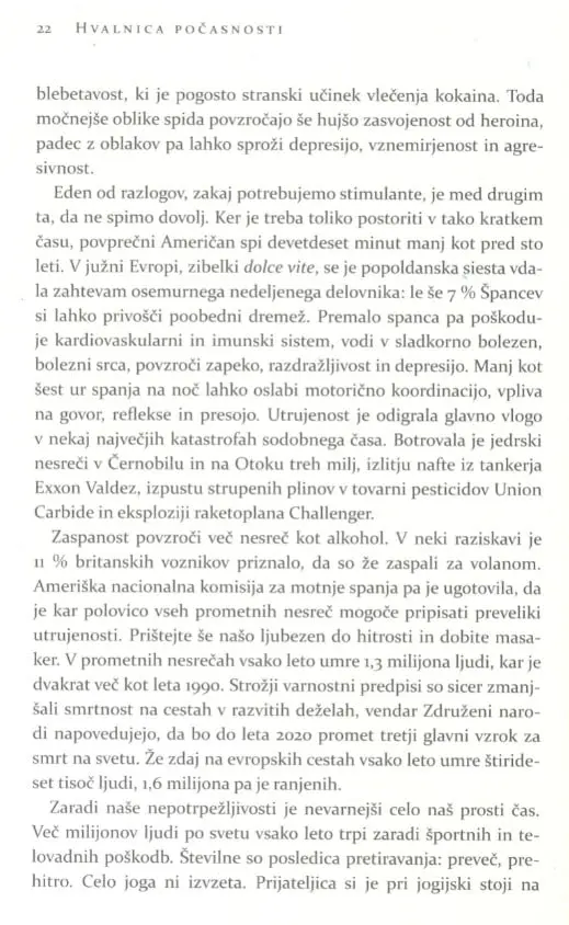 Hvalnica počasnosti - slika 26