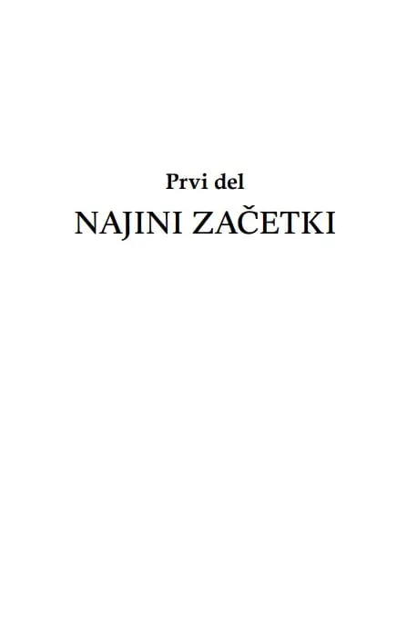 Nikoli vama ne bo uspelo! - slika 24