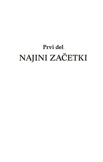 Nikoli vama ne bo uspelo! - slika 9
