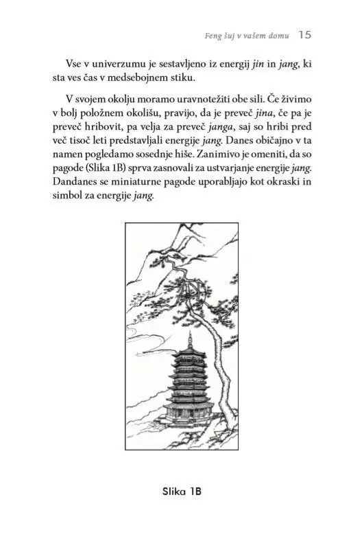 Feng Šuj: 101 nasvet za vaš dom - slika 9
