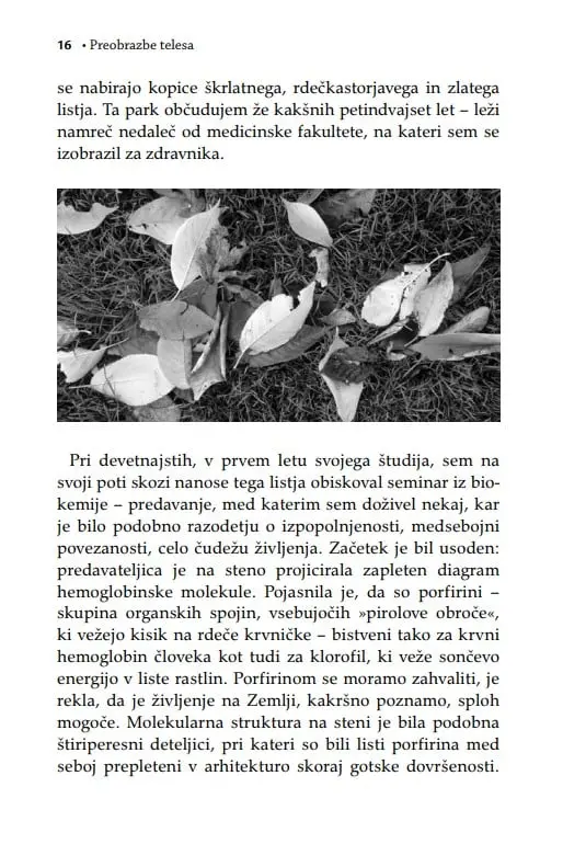 Preobrazbe telesa - slika 26