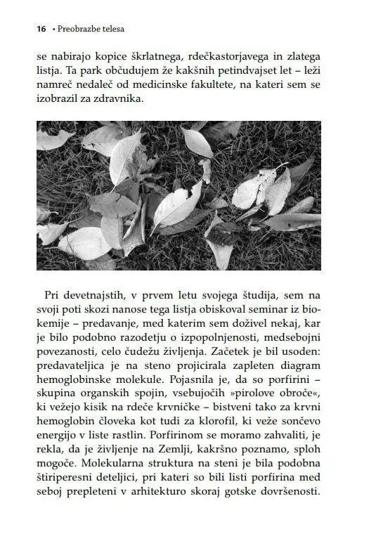 Preobrazbe telesa - slika 9