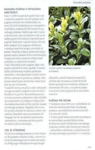 Naša užitna drevesa in grmi - slika 9