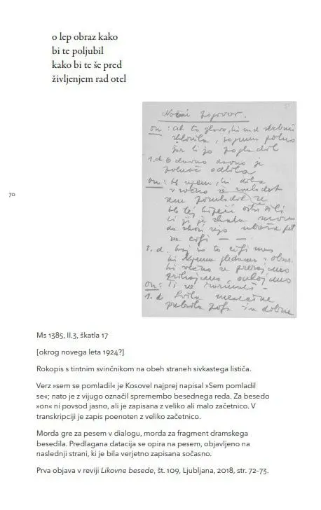 Vsem naj bom neznan, 1. knjiga - slika 9