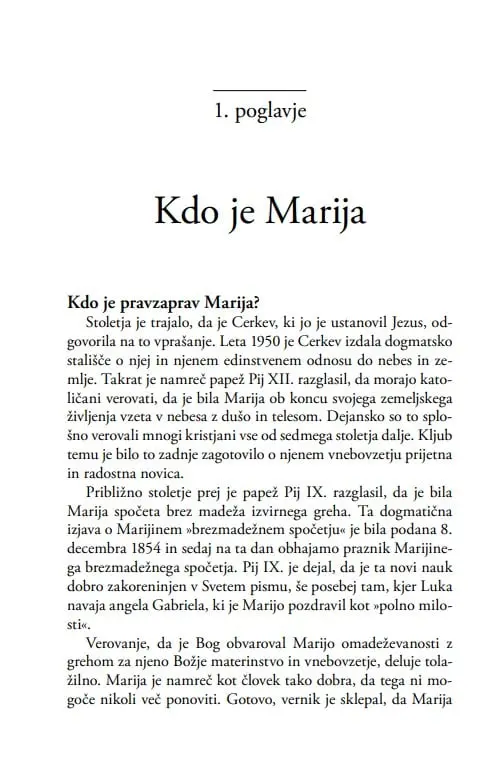 Marijina prikazovanja po svetu - slika 23