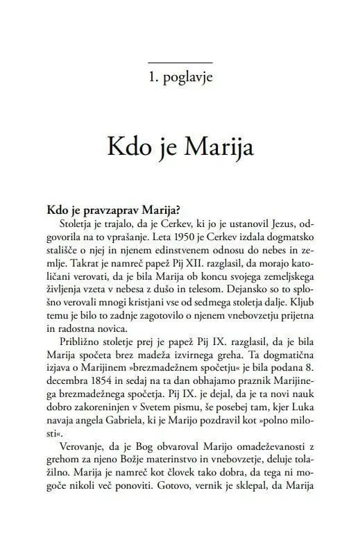 Marijina prikazovanja po svetu - slika 9